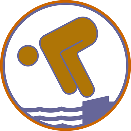 Schwimmabzeichen - Bronze